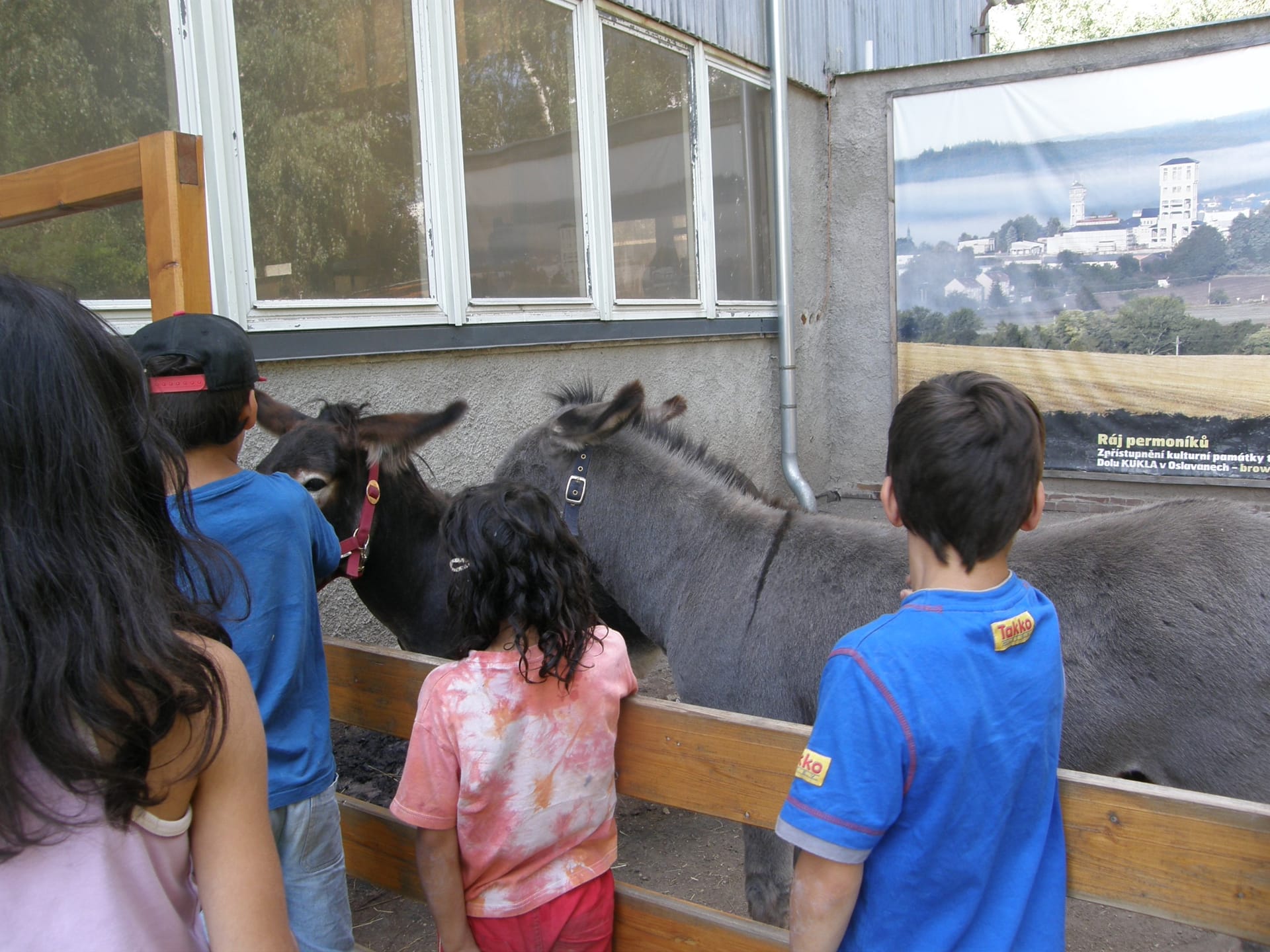 Co je pěstounská péče?