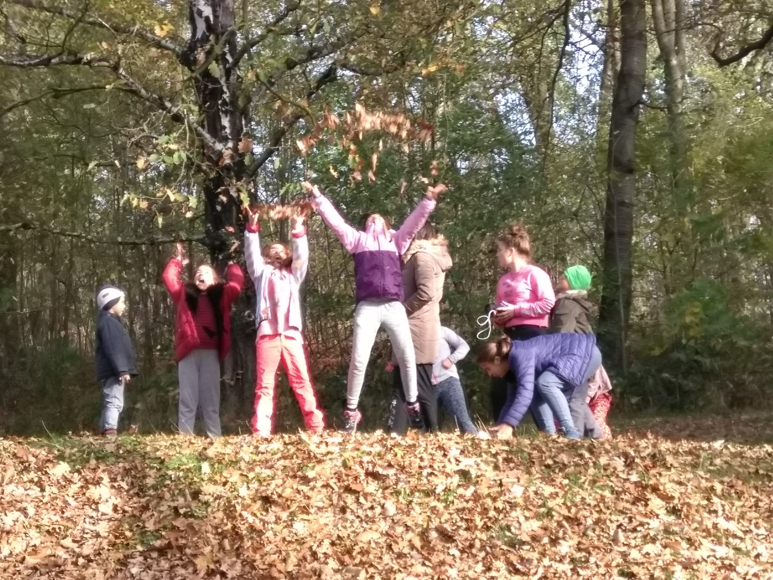 Den rodiny a pěstounství (vzdělávací akce)